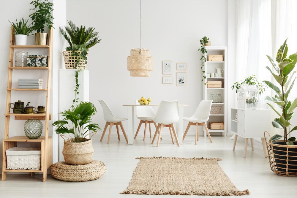 8 Gorgeous Ways of Including Indoor Plants Into Your Home Decor ...